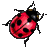 vi�eta
